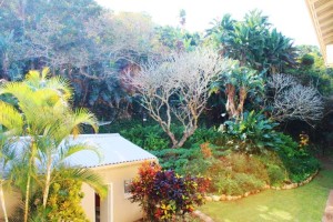 Southbroom - Accommodation - Private Flat for Rent - Luscious Fuana and Beautiful Gardens